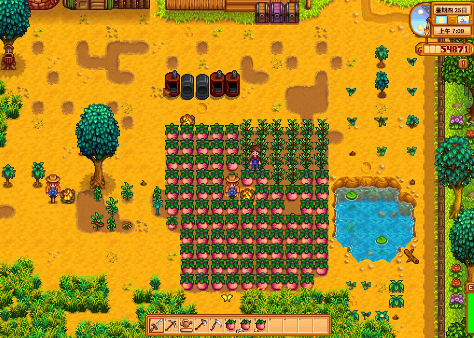 黑暗之魂3 年度版 截图11