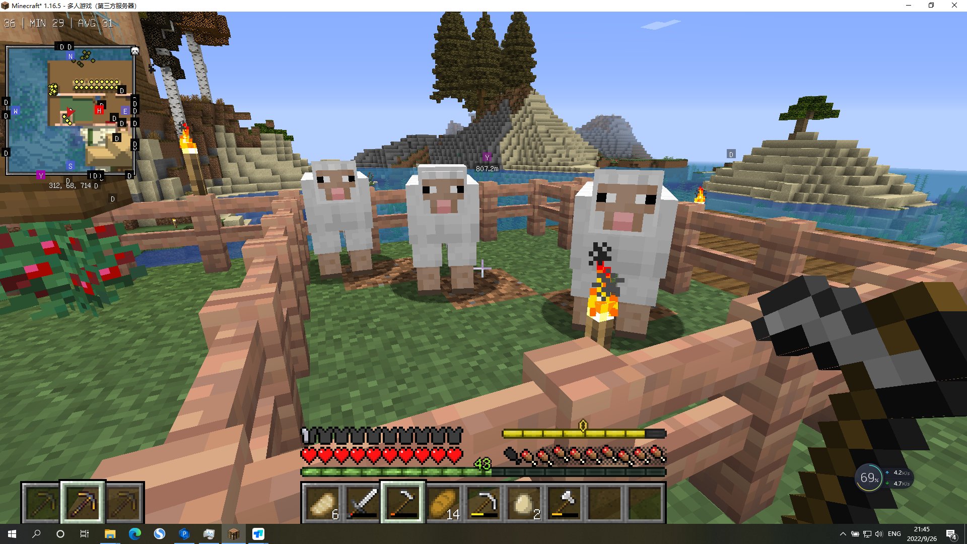 空洞骑士 豪华版 截图2